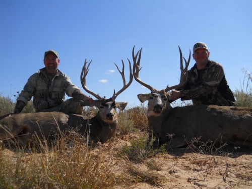 Desert Mule Deer Hunting in New Mexico
