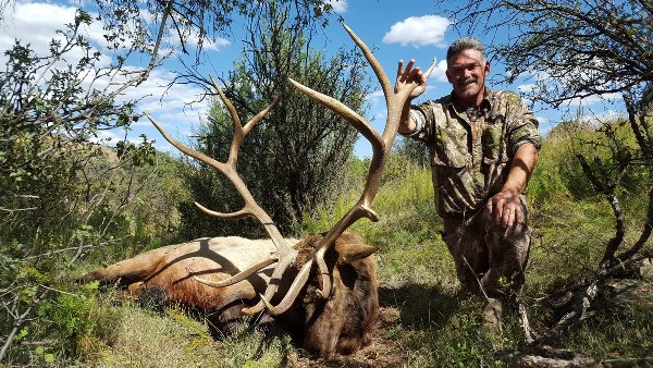 New Mexico Elk Hunts