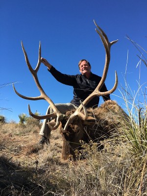 Elk Hunts in New Mexico