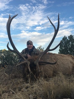 Hunting Elk in New Mexico