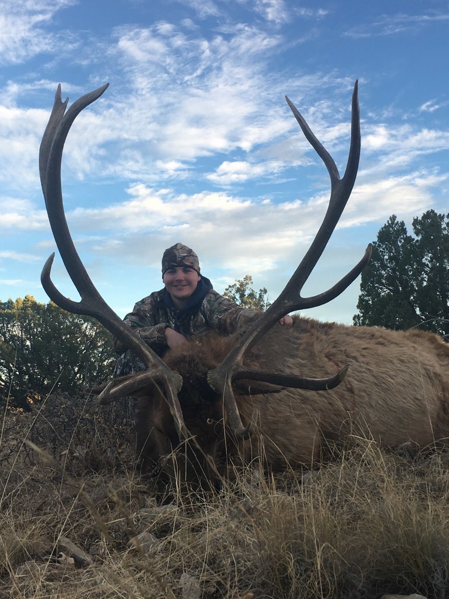 Elk Hunts 9