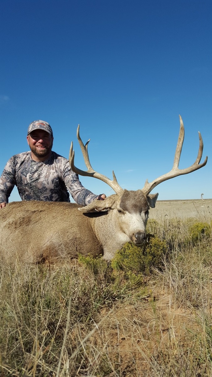 Mule Deer Hunts 21