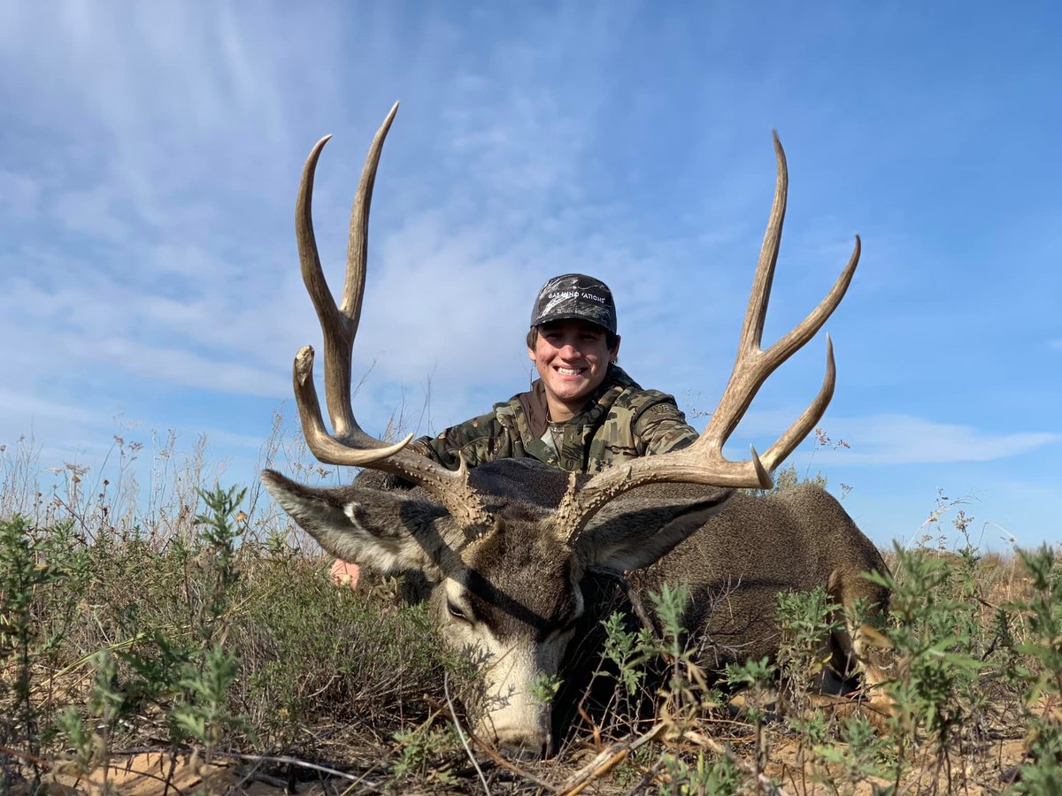 Mule Deer Hunts 30