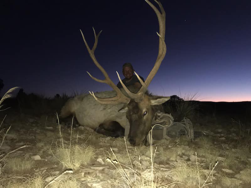 Elk Hunts 15