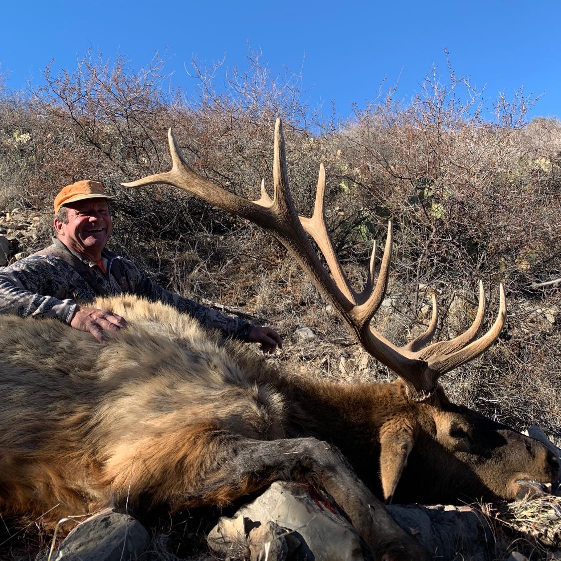 Elk Hunts 30