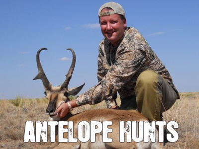 Antelope Hunting in New Mexico