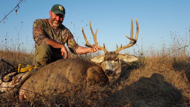 Mule Deer Outfitter Guide