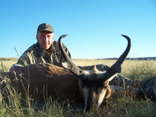 Kit's New Mexico Antelope