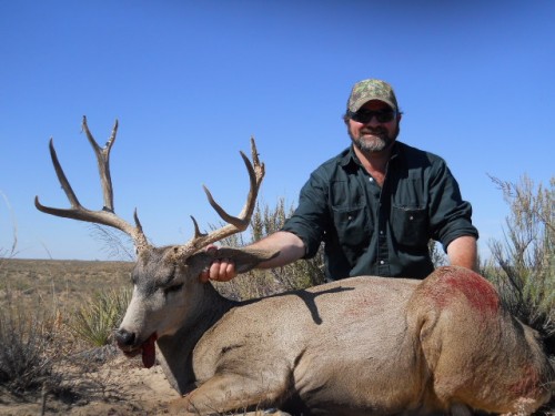 New Mexico Mule deer 2013