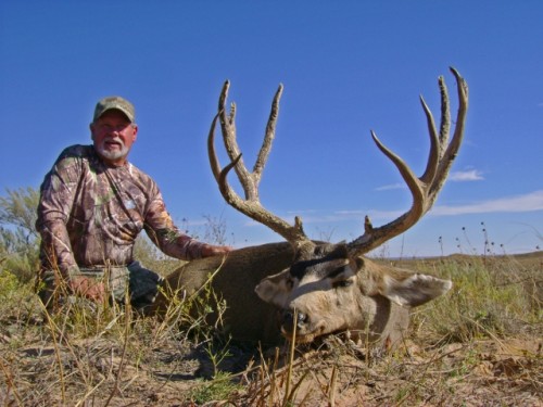 New Mexico Mule Deer