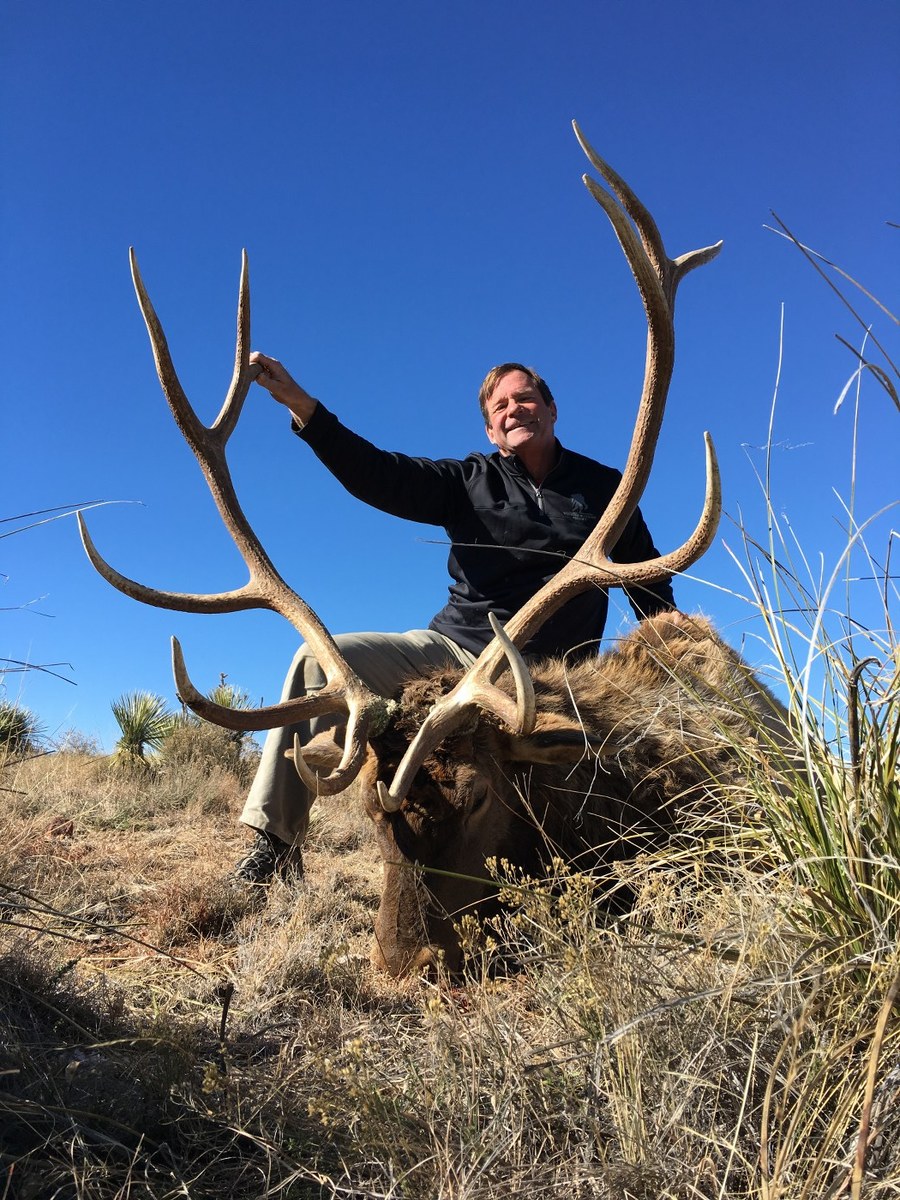 Elk Hunts 6