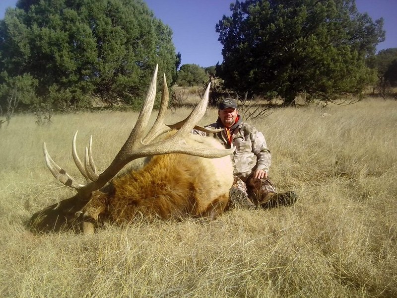 Elk Hunting in New Mexico