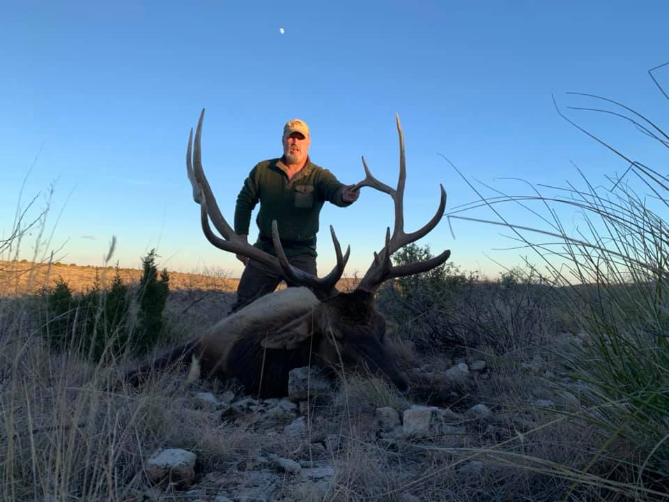 Elk Hunts 20
