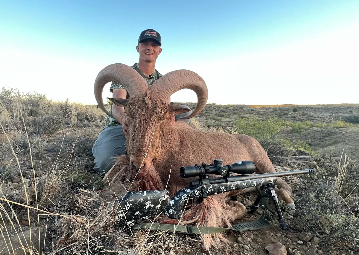 Barbary Sheep Hunts 9